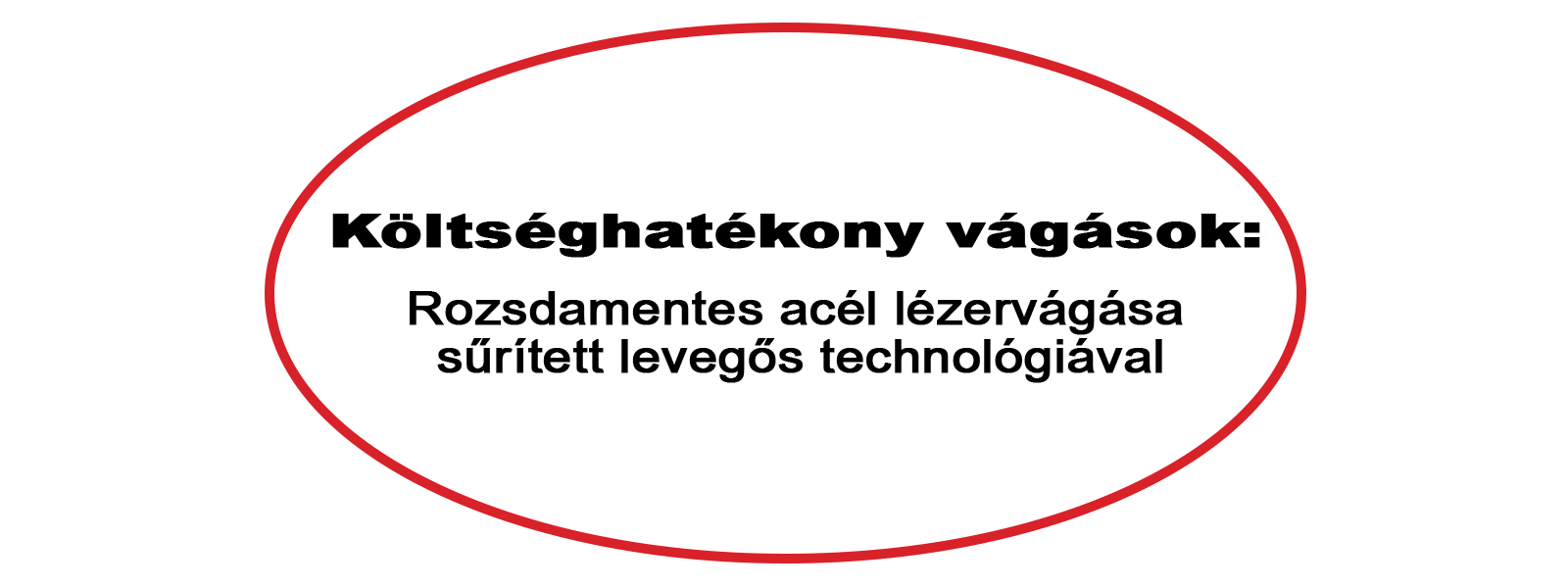 Újdonságok